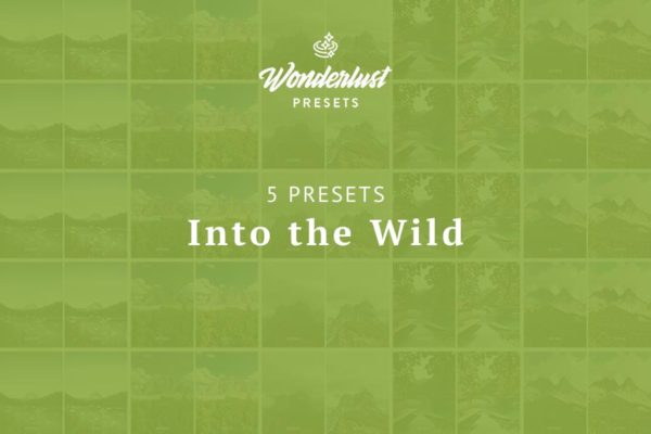 Cover_IntoTheWild